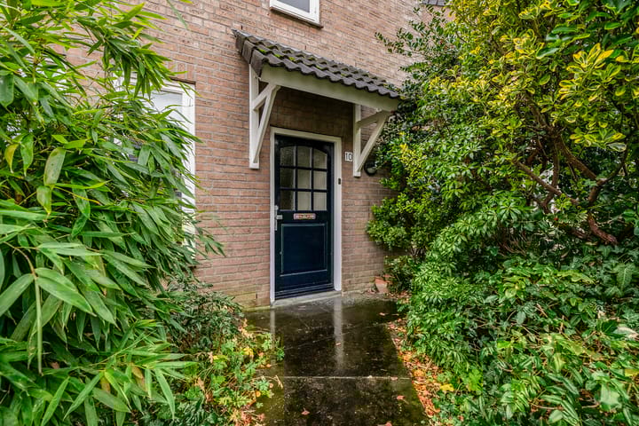 Photo 6 of De Kastanje 10