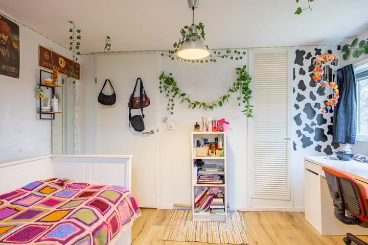 Foto 62 van De Petten 6