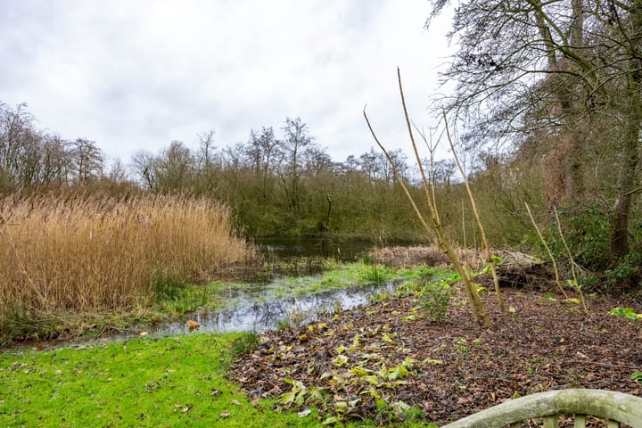 Foto 67 van De Petten 6