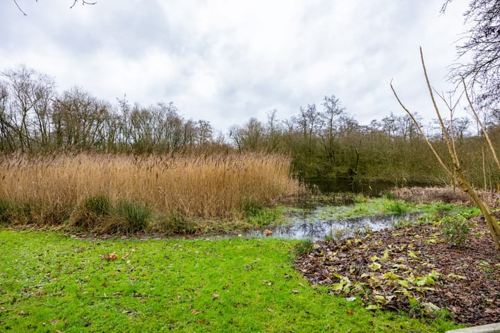 Foto 68 van De Petten 6