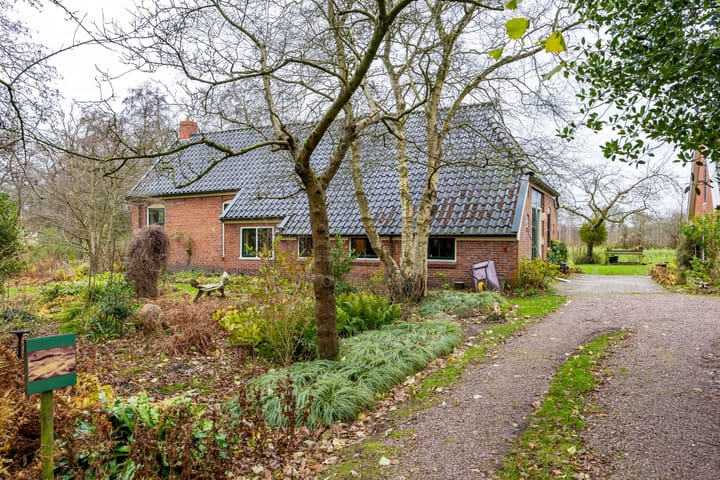 Foto 73 van De Petten 6