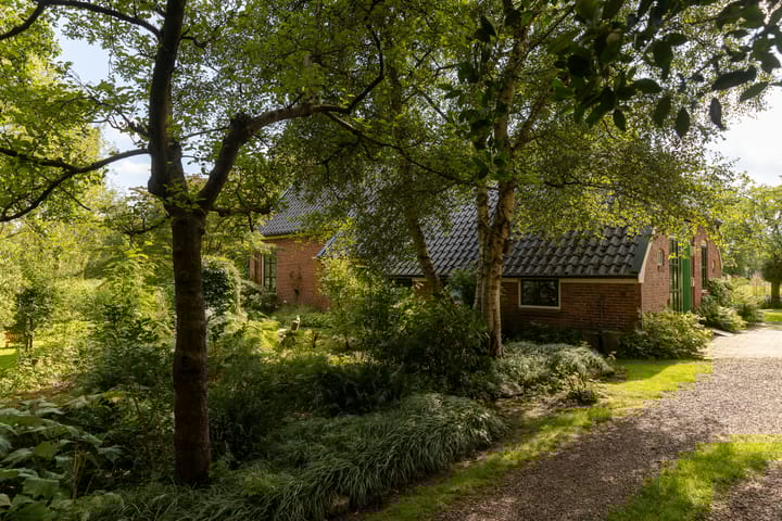 Foto 74 van De Petten 6