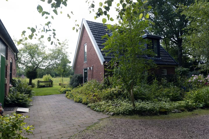 Foto 77 van De Petten 6