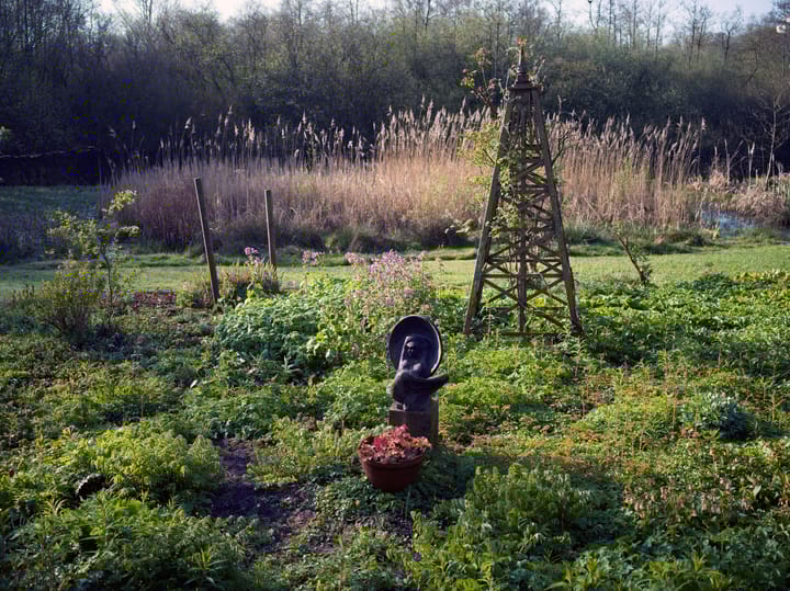 Foto 79 van De Petten 6