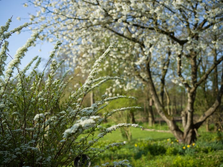 Foto 81 van De Petten 6