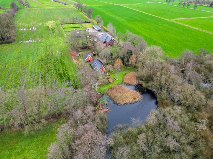 Foto 87 van De Petten 6