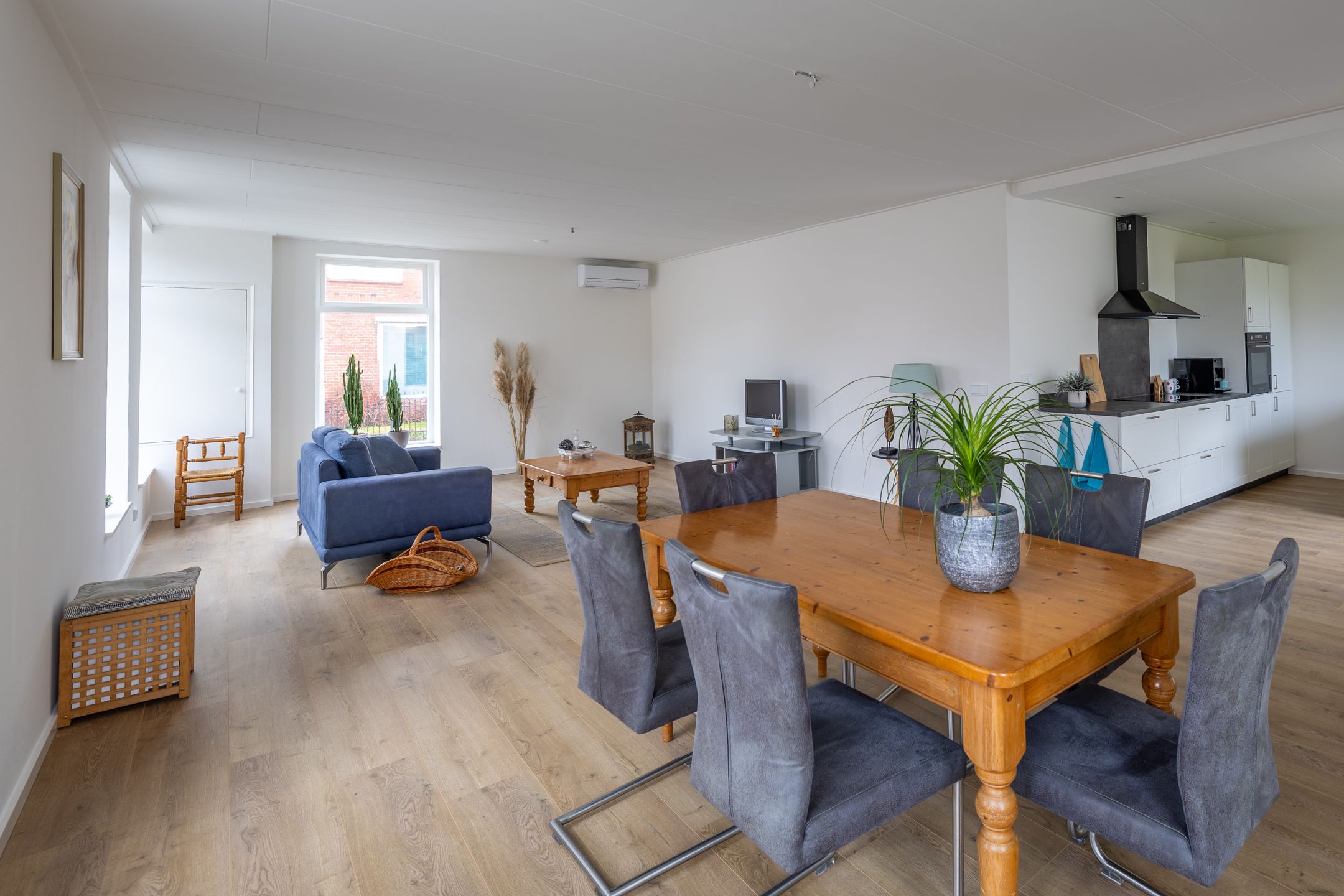 Foto 9 van Worp van Peymastrjitte 21