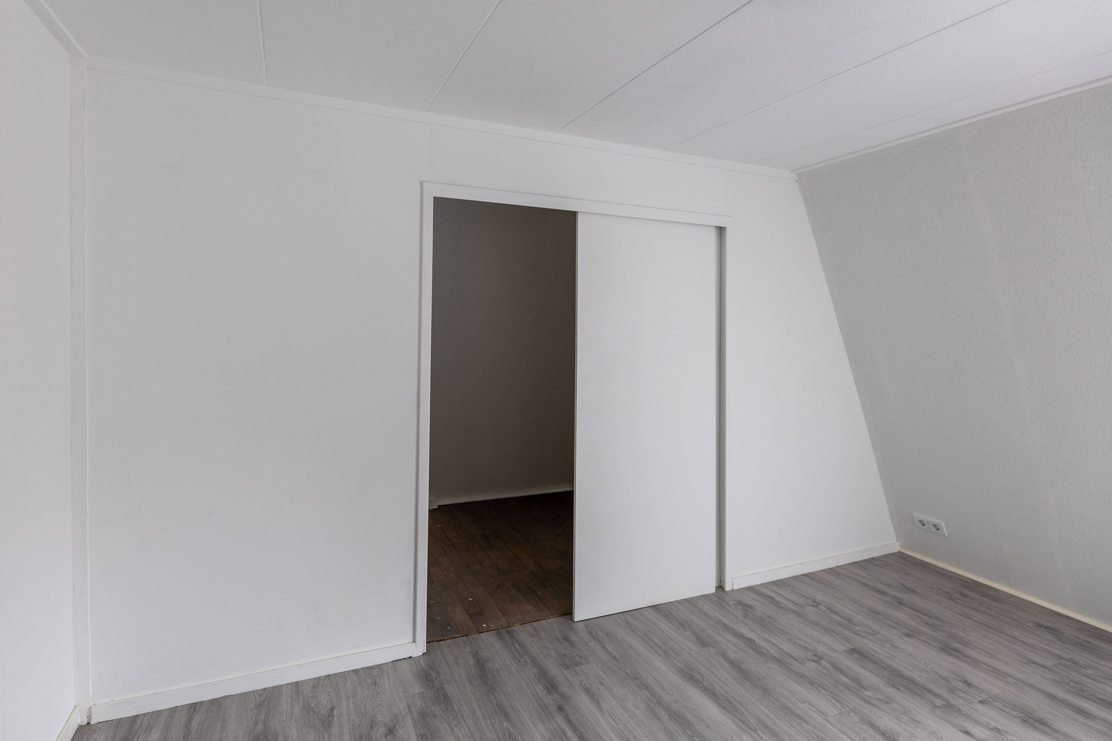 Foto 45 van Worp van Peymastrjitte 21