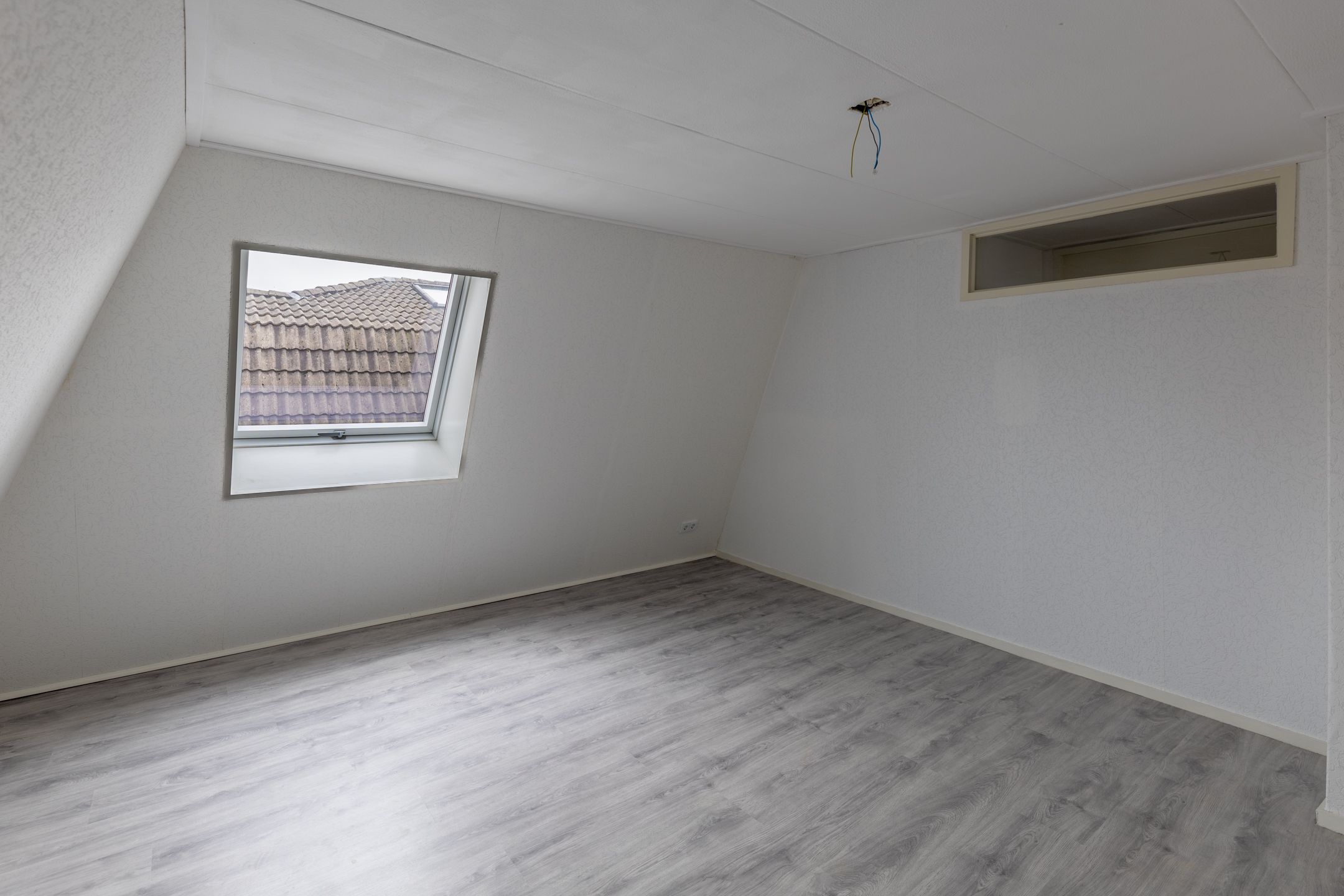 Foto 51 van Worp van Peymastrjitte 21