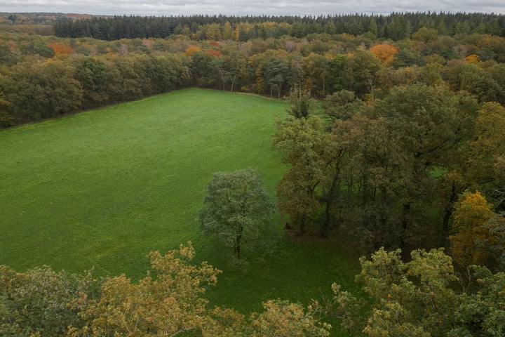 Bekijk foto 3 van Delerweg