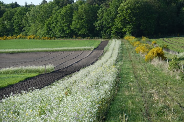 Bekijk foto 13 van Delerweg