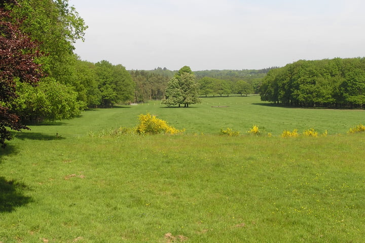 Bekijk foto 15 van Delerweg