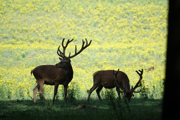 Bekijk foto 17 van Delerweg