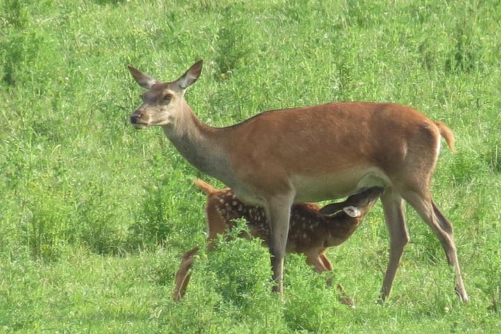 Bekijk foto 19 van Delerweg