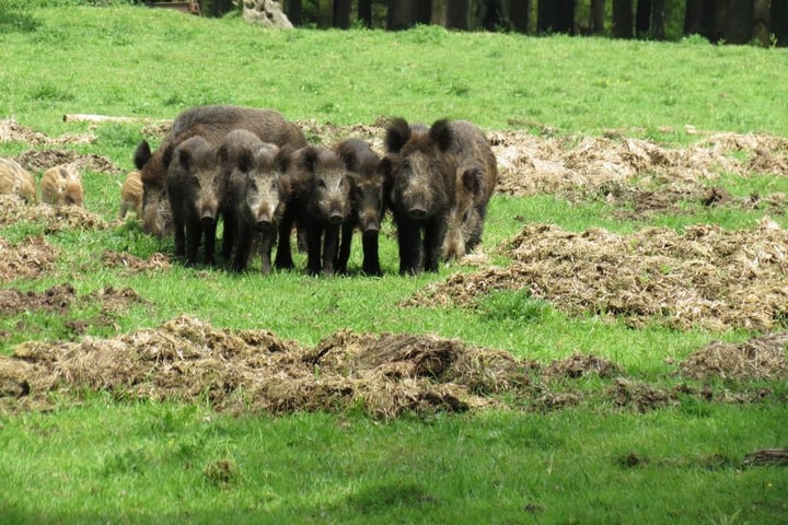 Bekijk foto 22 van Delerweg