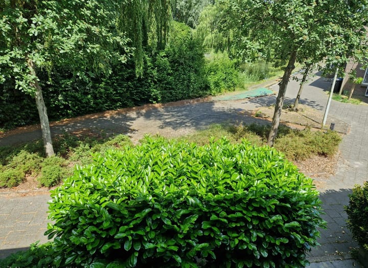 Foto 37 van Koolmeesstraat 22