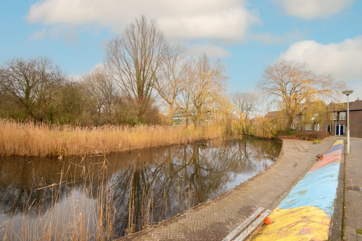 Foto 39 van Koolmeesstraat 22