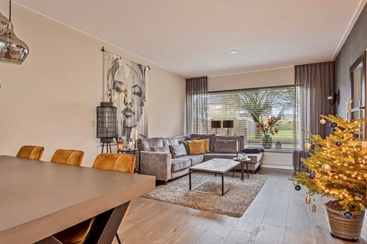 Foto 3 van de Plevier 20