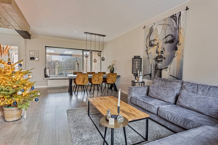 Foto 4 van de Plevier 20