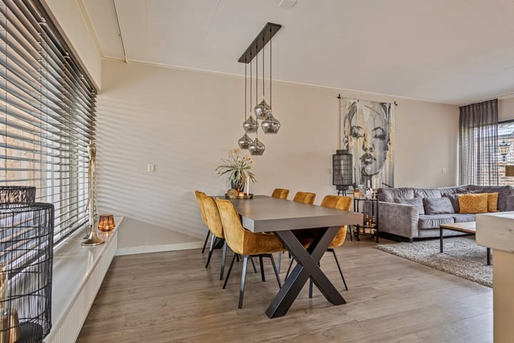 Foto 5 van de Plevier 20