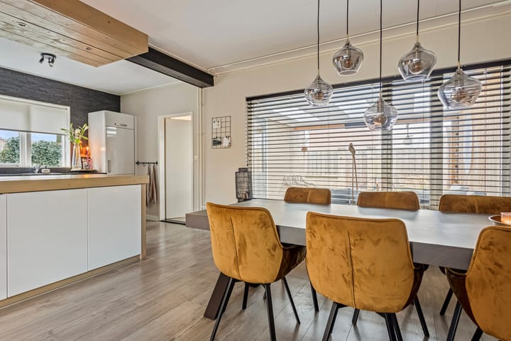 Foto 6 van de Plevier 20