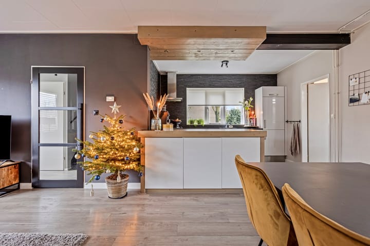 Foto 7 van de Plevier 20