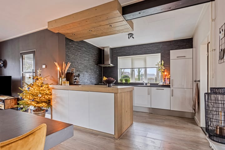 Foto 8 van de Plevier 20