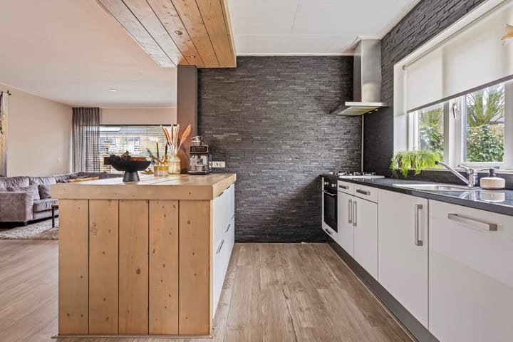 Foto 9 van de Plevier 20