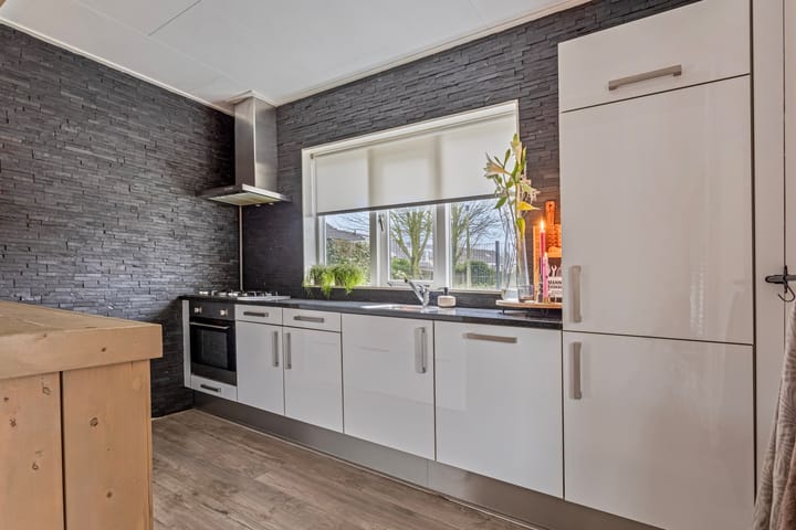 Foto 10 van de Plevier 20