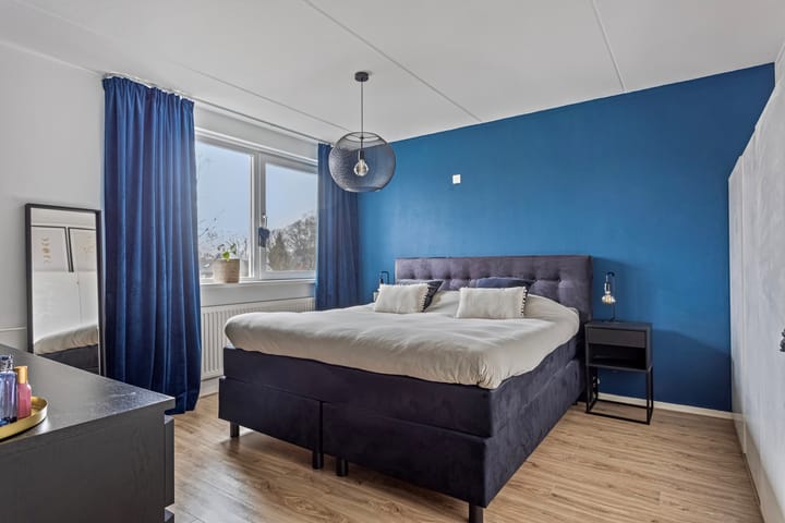 Foto 18 van de Plevier 20