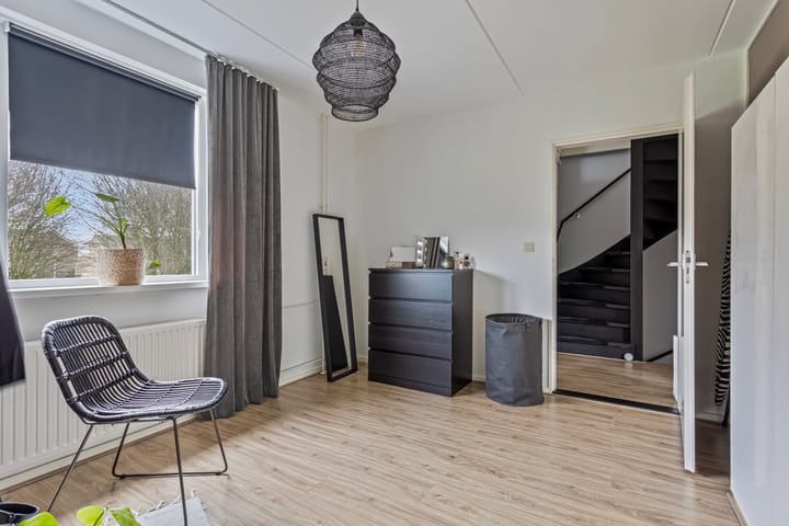 Foto 20 van de Plevier 20