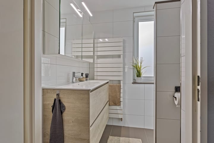 Foto 21 van de Plevier 20