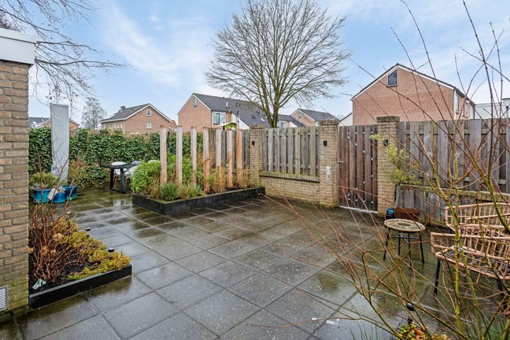 Foto 32 van de Plevier 20