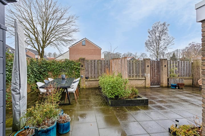 Foto 34 van de Plevier 20