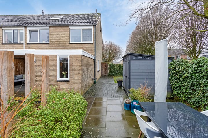 Foto 35 van de Plevier 20