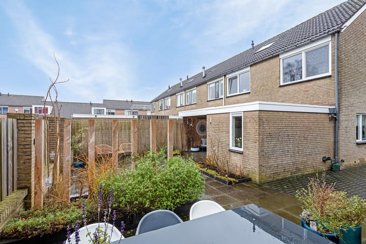 Foto 36 van de Plevier 20