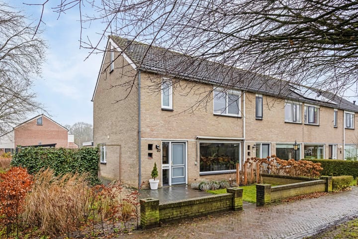 Foto 37 van de Plevier 20