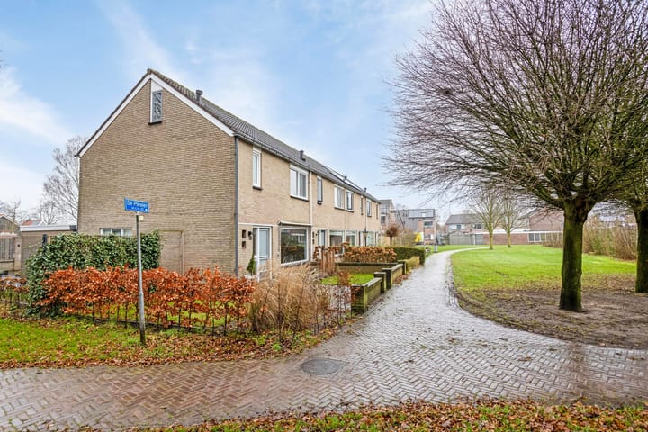 Foto 38 van de Plevier 20