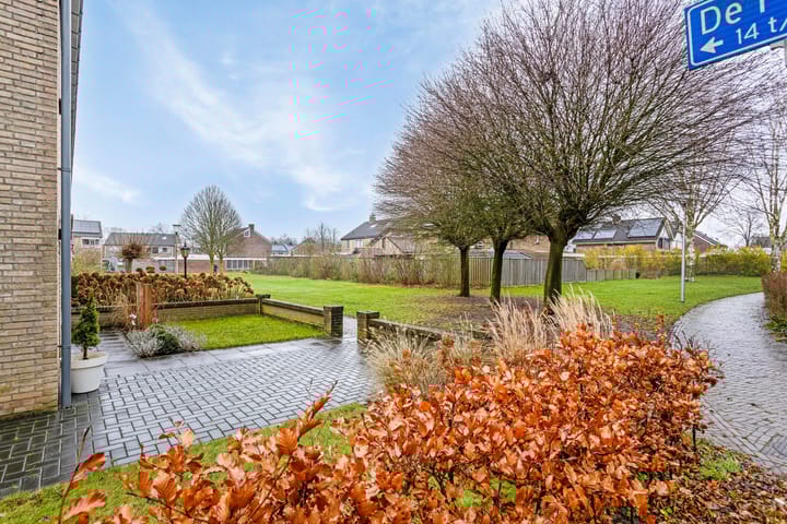 Foto 39 van de Plevier 20