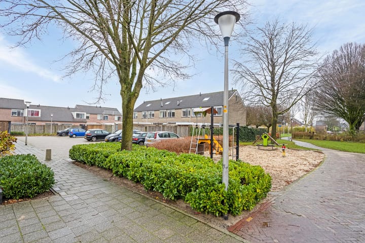 Foto 40 van de Plevier 20