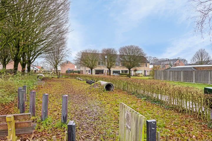 Foto 41 van de Plevier 20