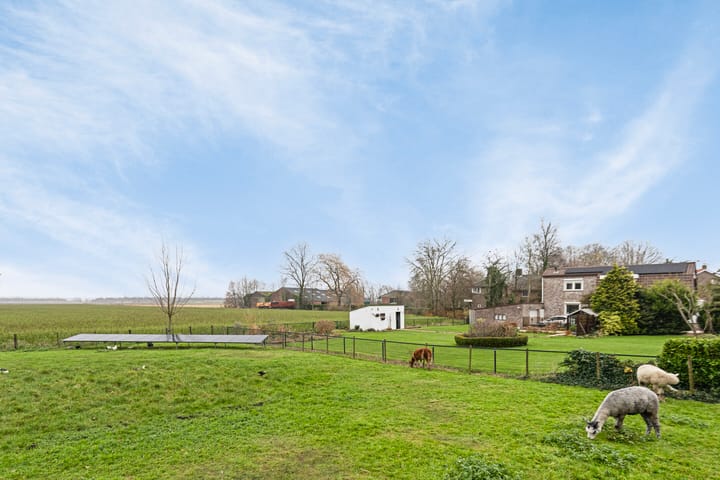 Foto 19 van Graafjansdijk B 57