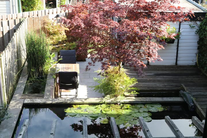 Photo 30 of Bosboom Toussaintstraat 19