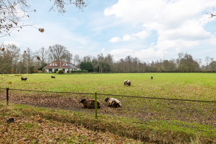 Photo 64 of Wilfred Stillweg 1