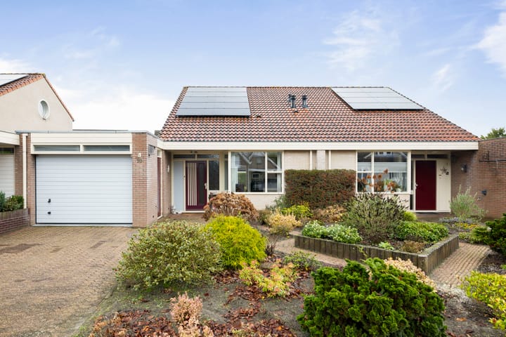 Foto 1 van Neptunus 10