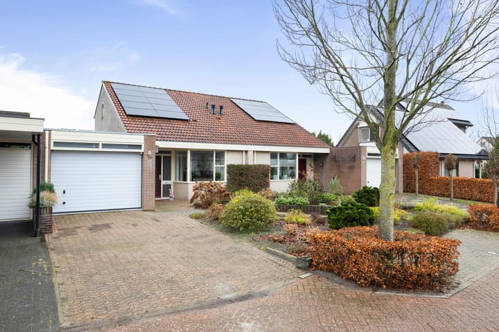 Foto 2 van Neptunus 10