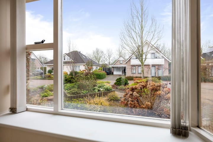 Foto 10 van Neptunus 10