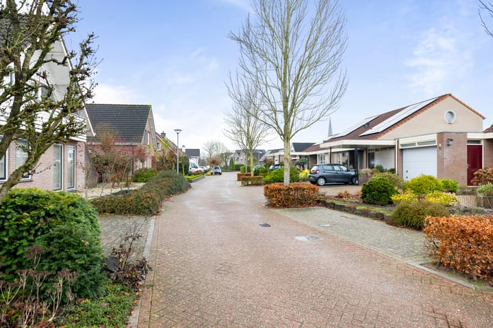 Foto 30 van Neptunus 10