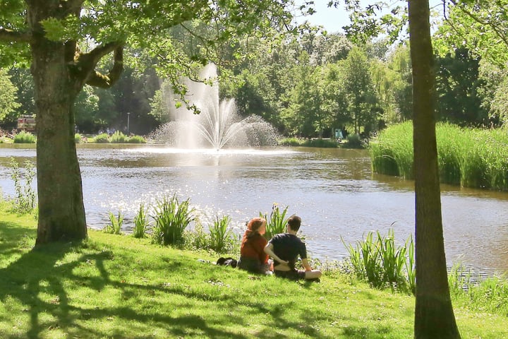 Bekijk foto 33 van Koninginneweg 245-H