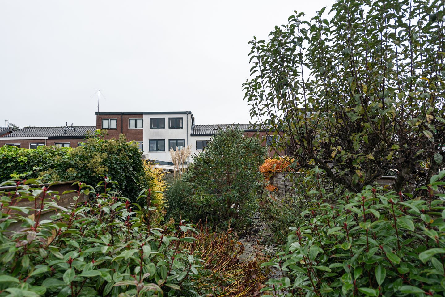 Photo 20 of Geuzenweg 147